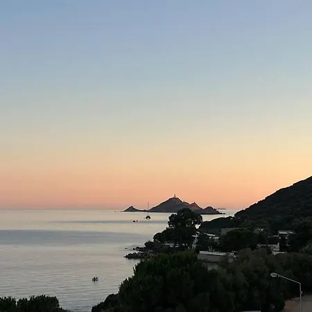 Bel App T2 En Bord De Vue Sanquinaires Piscine Ajaccio (Corsica)