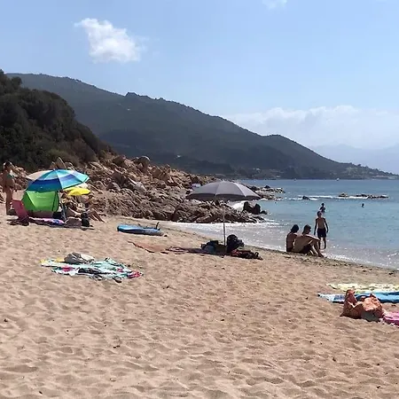 Bel App T2 En Bord De Vue Sanquinaires Piscine Lejlighed