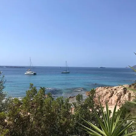 Bel App T2 En Bord De Vue Sanquinaires Piscine Lejlighed