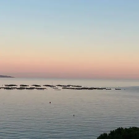 Bel App T2 En Bord De Vue Sanquinaires Piscine * 아작시오