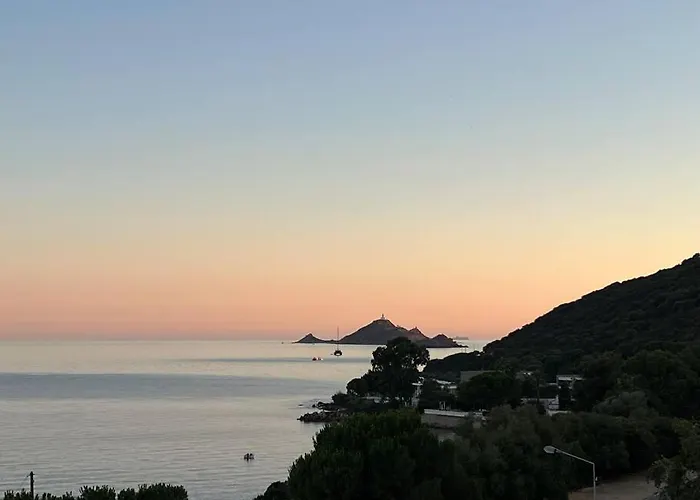 Bel App T2 En Bord De Vue Sanquinaires Piscine 阿雅克肖