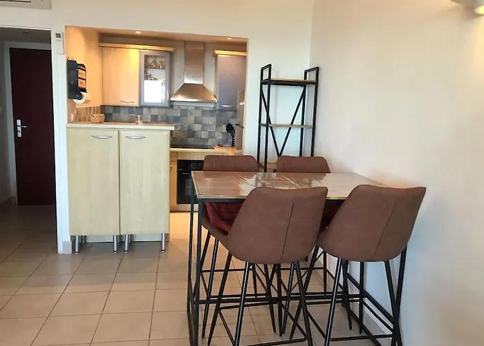 公寓 Bel App T2 En Bord De Vue Sanquinaires Piscine 阿雅克肖