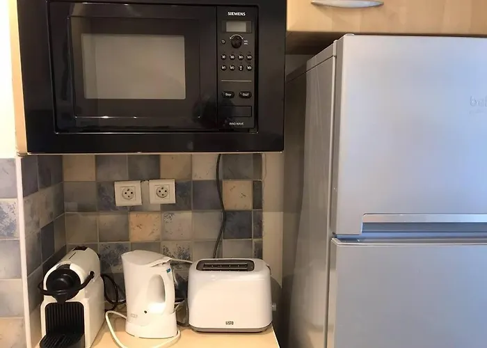 公寓 Bel App T2 En Bord De Vue Sanquinaires Piscine *