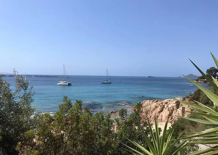 Bel App T2 En Bord De Vue Sanquinaires Piscine 公寓