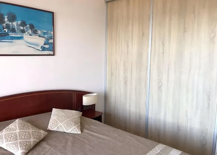 Bel App T2 En Bord De Vue Sanquinaires Piscine 公寓