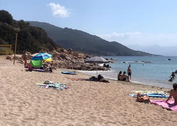 Bel App T2 En Bord De Vue Sanquinaires Piscine 公寓