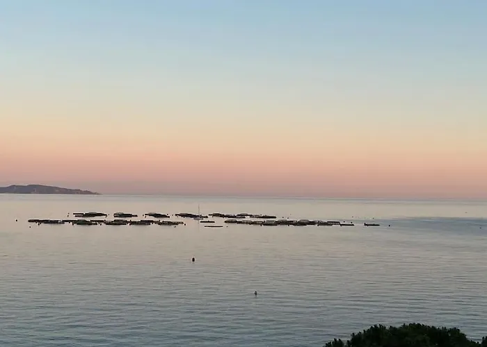 Bel App T2 En Bord De Vue Sanquinaires Piscine * 阿雅克肖